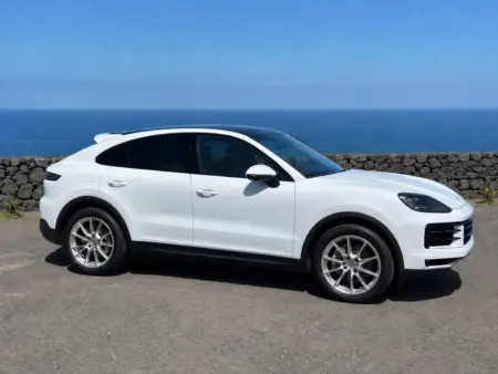 Foto 02 porsche cayenne left side