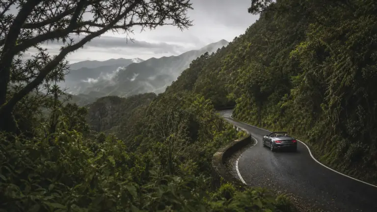 Anaga Rural Park Road Trip: Driving Tenerife Ancient Laurel Cloud Forest